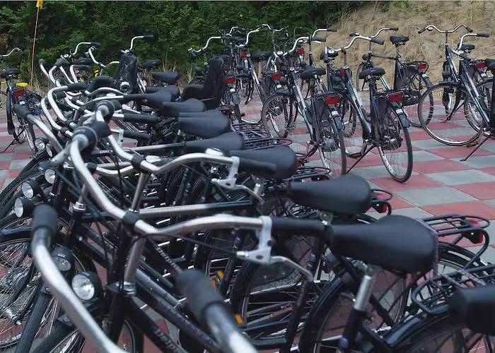 Chalet Roompot Kustpark Egmond aan Zee