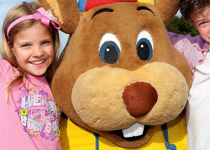 Шале Roompot Kustpark Эгмонд-ан-Зее